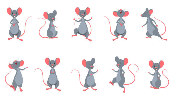 ilustraciones, imágenes clip art, dibujos animados e iconos de stock de establecer ratas (mice) en diferentes poses. personajes alegres divertidos aislados - ratón animal