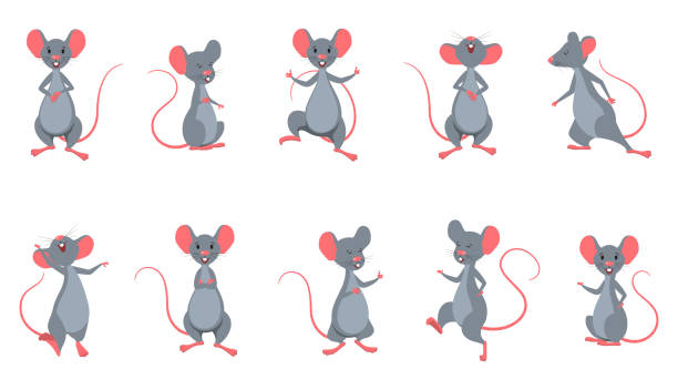 illustrazioni stock, clip art, cartoni animati e icone di tendenza di imposta ratti (topi) in pose diverse. divertente allegri personaggi isolati - ratto