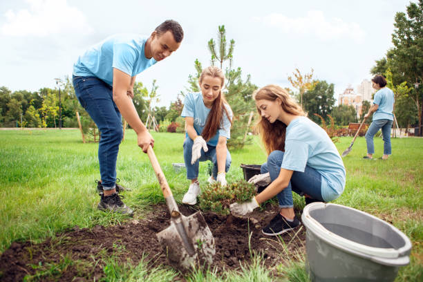 istock Volunteering. Young people volunteers outdoors planting tree concentrated cooperation 1187245669