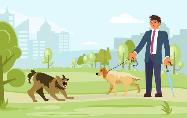 man walks with a dog A man walks with a dog in the park. They were attacked by an aggressive, mongrel mongrel. Flat Art Vector illustration dog aggression education friendship stock illustrations