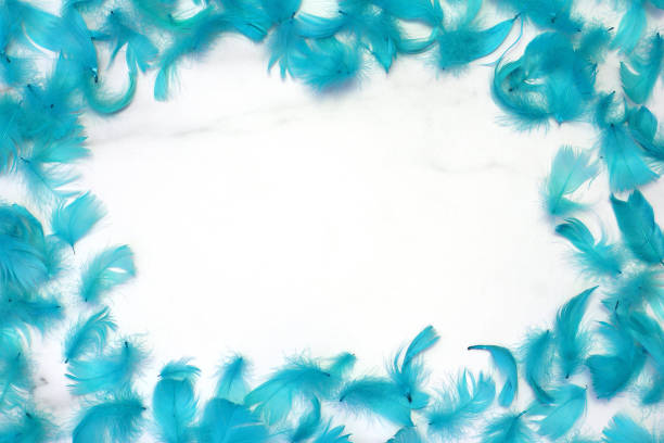 istock Frame of feathers turquoise. simple flat lay composition 1187252823