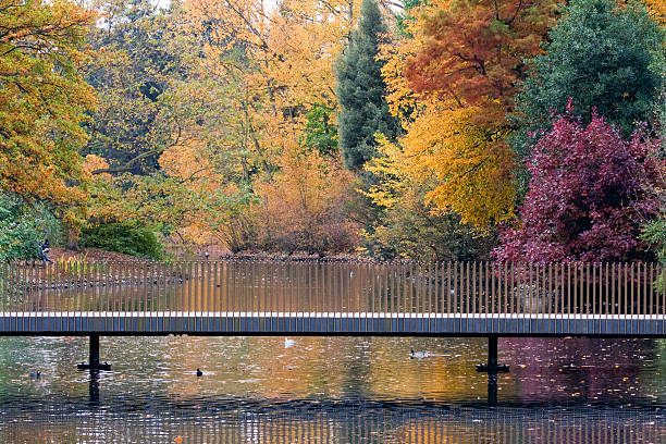 autumn scene  kew gardens stock pictures, royalty-free photos & images