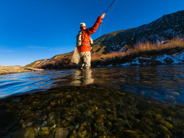 istock Man Fly Fishes in Sunny Weather 1187254485