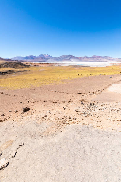 istock Chile Atacama desert panoramic view of red rocks 1187257060