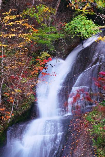 istock Eniwa Valley in late autumn 1187257160