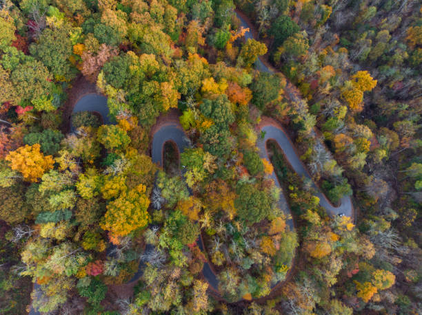 istock Windy Mountain Road in North Carolina in the Fall 1187260563