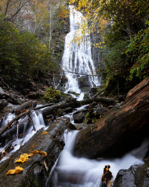 mingo falls near cherokee, north carolina - cherokee north carolina asheville blue ridge parkway imagens e fotografias de stock