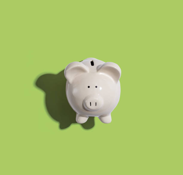 istock A white piggy bank 1187264824