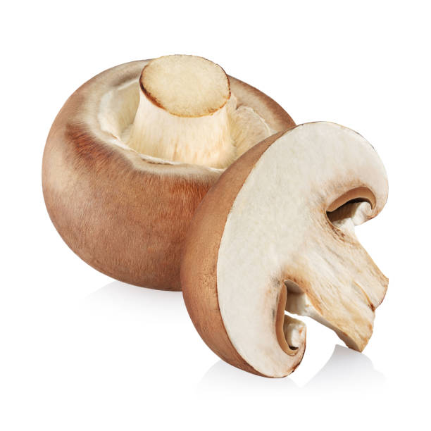 funghi champignon isolati su sfondo bianco - edible mushroom white mushroom isolated white foto e immagini stock
