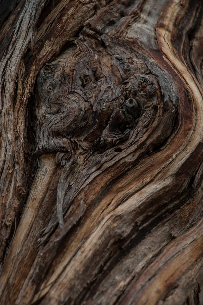 istock old wood in soft and blur style for the background 1187272099