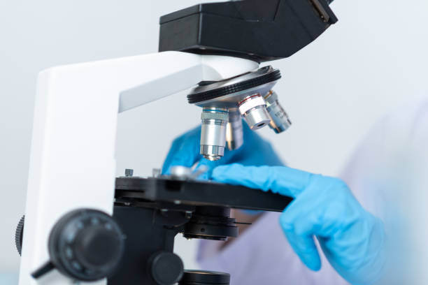istock Doctors are diagnosed in the laboratory. With microscopy 1187274753