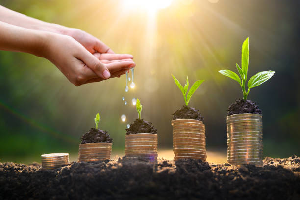 Money growth Saving money. Upper tree coins to shown concept of growing business Money growth Saving money. Upper tree coins to shown concept of growing business prosperity stock pictures, royalty-free photos & images