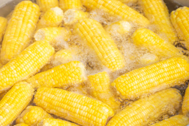 istock The corn was cooked in boiling water. 1187278383