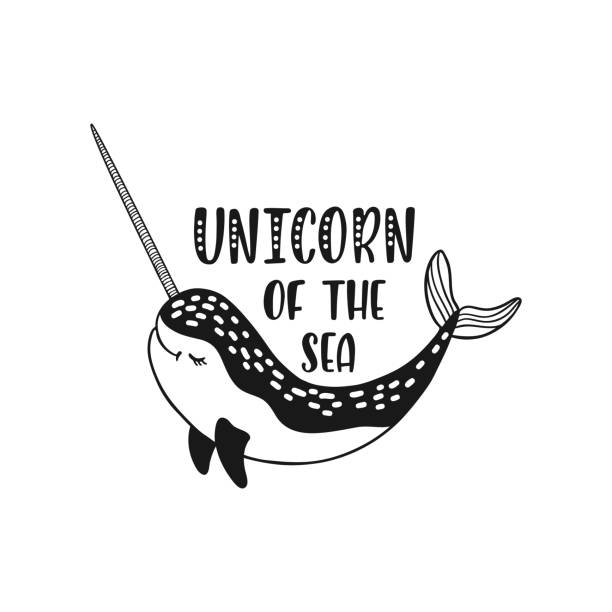 ilustrações, clipart, desenhos animados e ícones de mão desenhada narval engraçado bonito com citação inspiradora - unicorn of the sea. - 1781