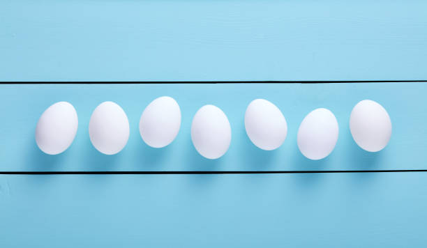 istock Fresh white farm eggs lined up in a row on blue wooden table with copy space 1187286622