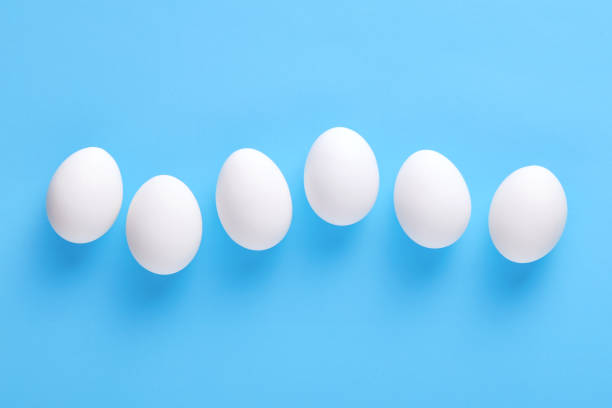 istock Six fresh white farm eggs lined up in a row on blue background 1187287615