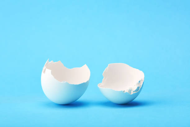 One white broken egg shell on blue background One white broken egg shell on blue background. Breaking out of the shell eggshell stock pictures, royalty-free photos & images