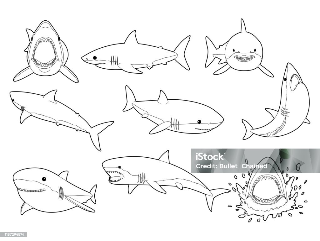 그레이트 화이트 상어 포즈 귀여운 만화 벡터 색칠 공부 상어상목에 대한 스톡 벡터 아트 및 기타 이미지 - 상어상목, 물기, 검은색 -  Istock