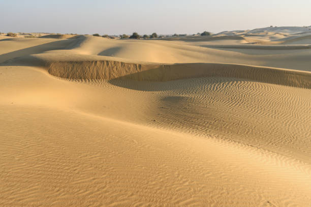istock Sand dunes in Thar desert. Jaisalmer. India 1187295725