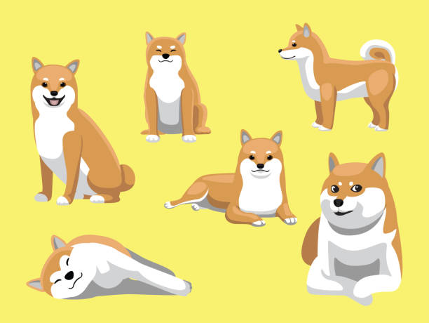 Shiba Inu Dog Poses Cute Cartoon Vector Animal Character EPS10 File Format shiba inu stock illustrations