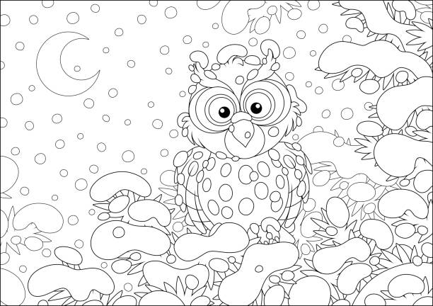 Owl perched on a snowy fir Thoughtful owlet on a snow-covered branch of a prickly fir-tree in a winter forest on a cold and snowy moonlit night, black and white vector cartoon illustration for a coloring book background of a owl black and white stock illustrations