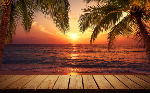istock Empty wooden platform beside tropical beach when the sunset 1187301923