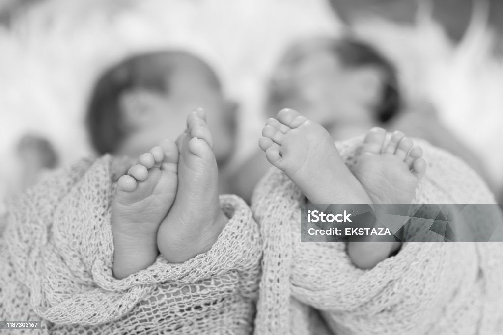 아기 쌍둥이 피트, 흑백 - 로열티 프리 쌍둥이 스톡 사진