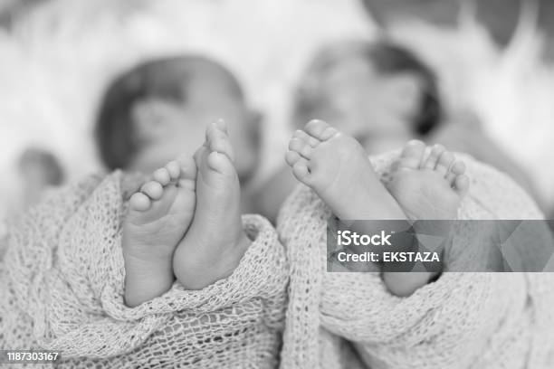 아기 쌍둥이 피트 흑백 쌍둥이에 대한 스톡 사진 및 기타 이미지 - 쌍둥이, 아기, 신생아