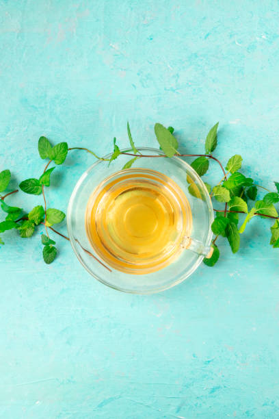 istock Mint tea in a transparent cup, top shot on a blue background with fresh mint leaves and copyspace 1187309048
