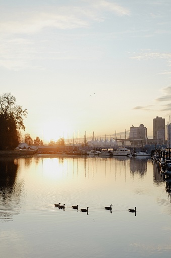 View of sunrise over Coal Harbour