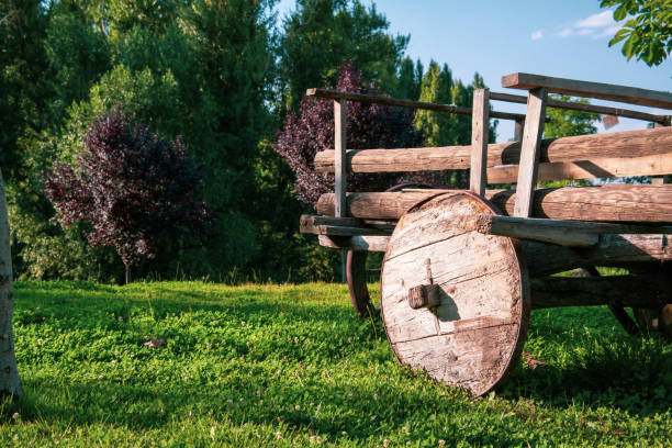 old ox cart on farmland