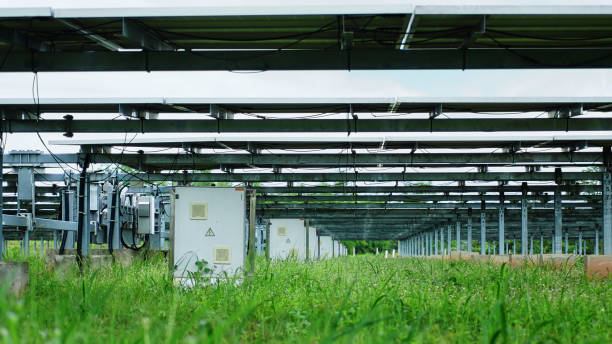 istock Solar panel, alternative electricity source, concept of sustainable resources, And this is String Combiner Box in solar plant systems 1187316232