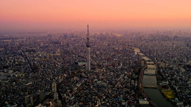 istock A view of Tokyo from a height in the evening 1187316977