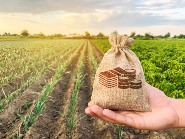 el agricultor tiene una bolsa de dinero en el fondo de las plantaciones. préstamos y subsidios a los agricultores. subvenciones y apoyo. beneficio de la agroindustria. valor de la tierra y alquiler. impuestos tributarios. startups agrícolas - ceder el paso fotografías e imágenes de stock