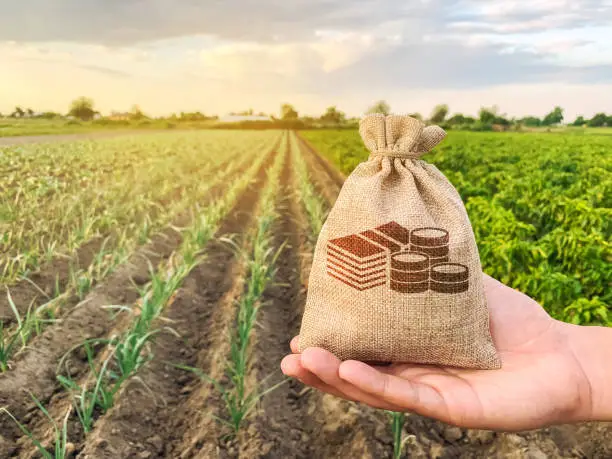 Photo of The farmer holds a money bag on the background of plantations. Lending and subsidizing farmers. Grants and support. Profit from agribusiness. Land value and rent. Taxes taxation. Agricultural startups