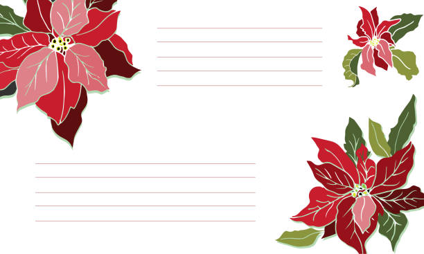 istock Template for text, label with red poinsettia flowers. Vector illustration for signatures, business cards and design. Christmas flower 1187321984