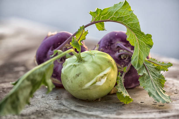 キャベツカブ - kohlrabi ストックフォトと画像