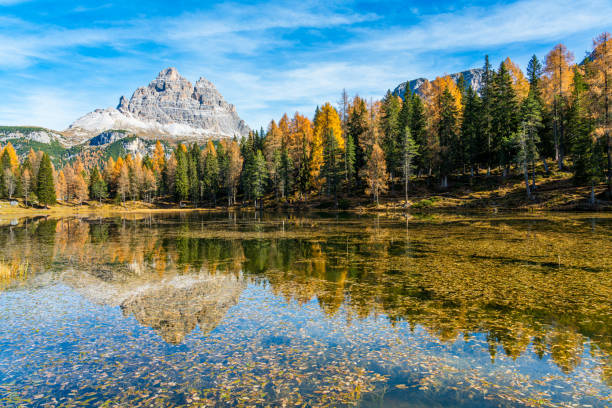 idílica vista otoñales en el lago d'antorno con el tre cime di lavaredo al fondo. véneto, italia. - belluno veneto european alps lake fotografías e imágenes de stock