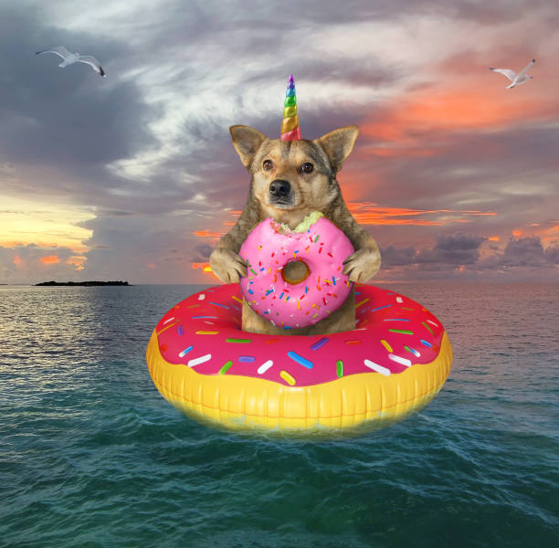 istock Dog unicorn eats donut on rubber ring 1187323482