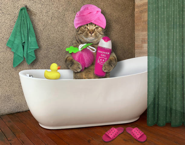 istock Cat in turban takes bath 1187323489