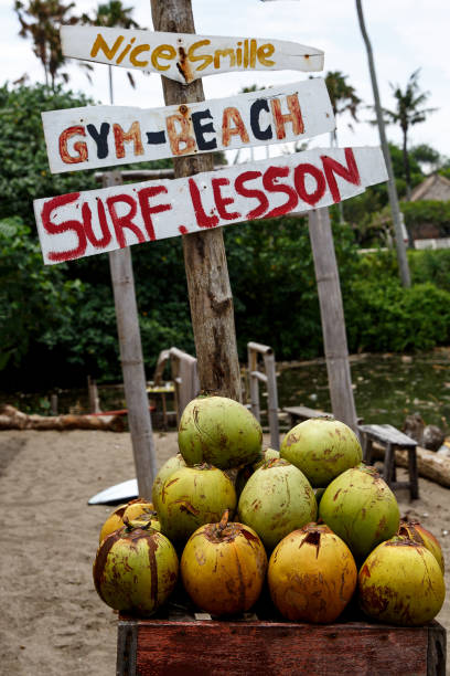 istock Lots of fresh green coconuts lined with a stack. Close-up market stalls 1187325144