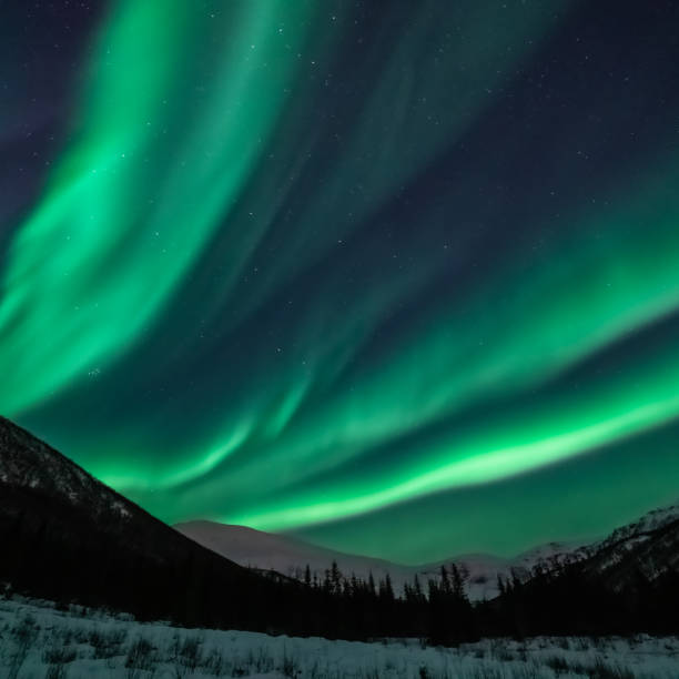 istock Aurora borealis and winter landscape 1187326906