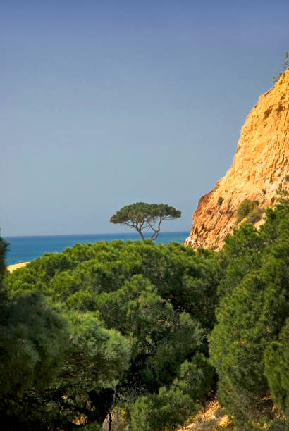 istock Sea View On Portuguese Algarve coast 1187328366
