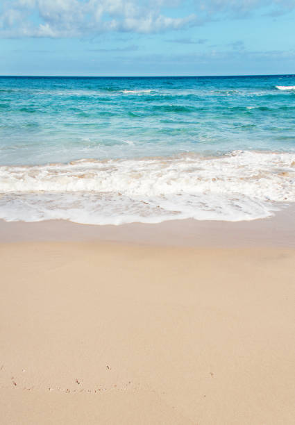istock Alimini Beach, Salento,Puglia, Italy 1187329302