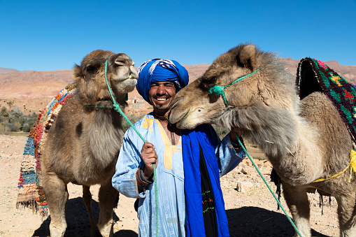 Tuareg man dressed with a turban standing with two camels in Sahara Desert, Morocco