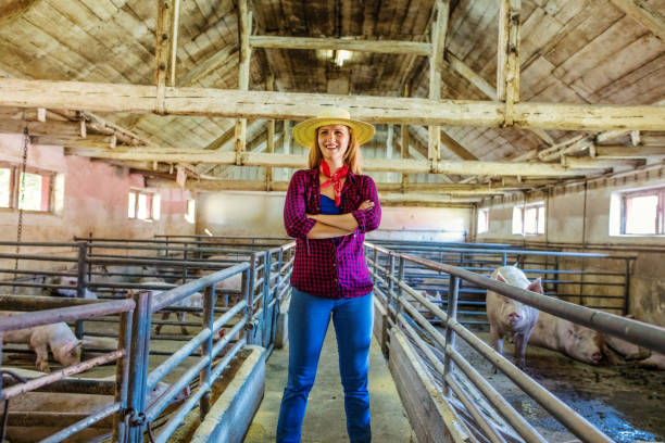 istock Female farmer in pig farm 1187331137