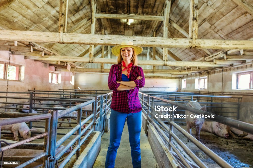 Фермер-женщина на свиноферме - Стоковые фото Австрия роялти-фри Фермер-женщина на свиноферме - Стоковые фото Австрия роялти-фри