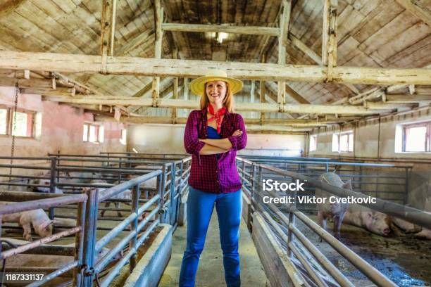 Фермерженщина На Свиноферме — стоковые фотографии и другие картинки Австрия - Австрия, Бизнес, Весёлый