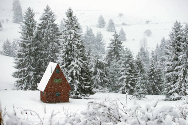 istock Snow covered hut in the mountains 1187331219