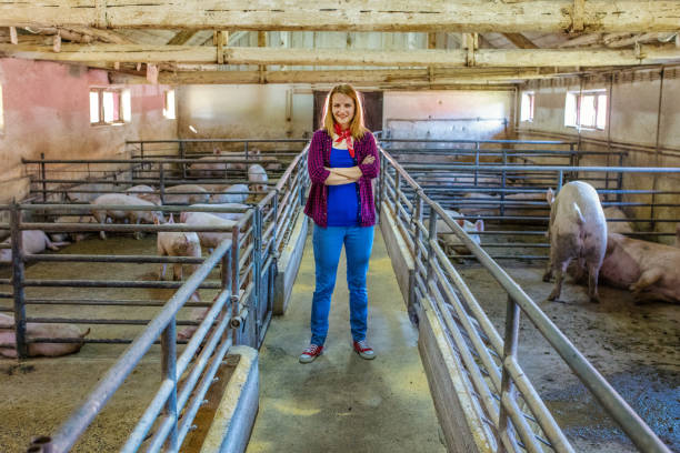 istock Female farmer in pig farm 1187331321